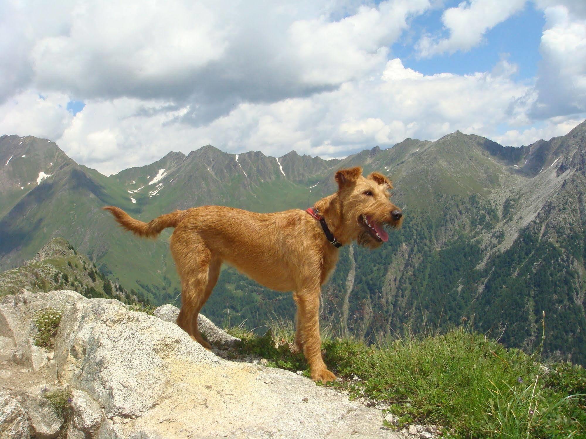 Bed & Breakfast Abis - Dolomites Rio di Pusteria Exterior foto