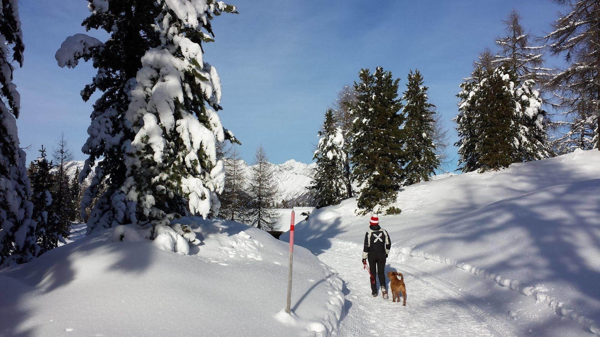 Bed & Breakfast Abis - Dolomites Rio di Pusteria Exterior foto
