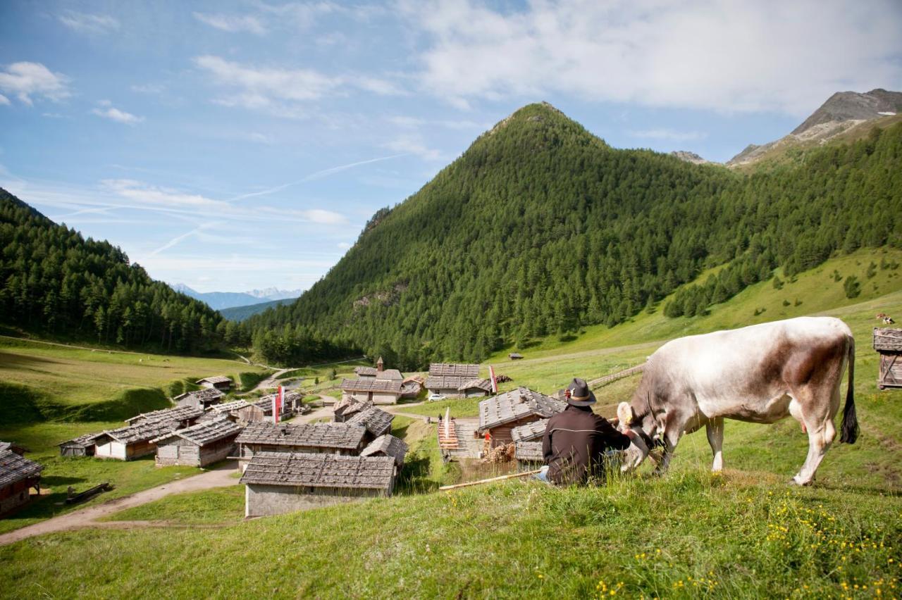 Bed & Breakfast Abis - Dolomites Rio di Pusteria Exterior foto